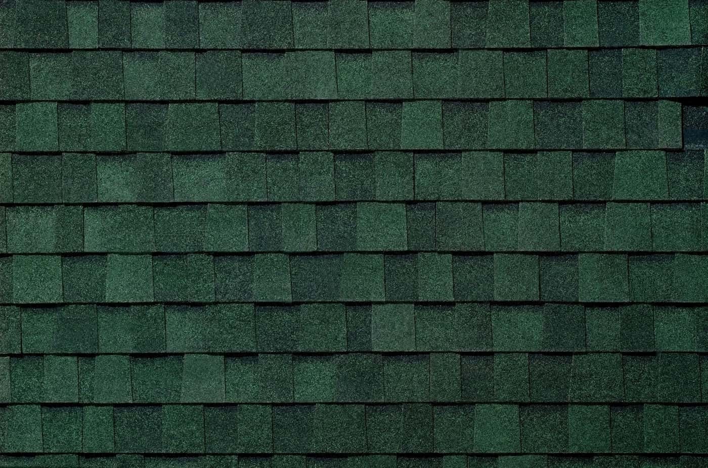 TAMKO Heritage Rustic Evergreen Swatch